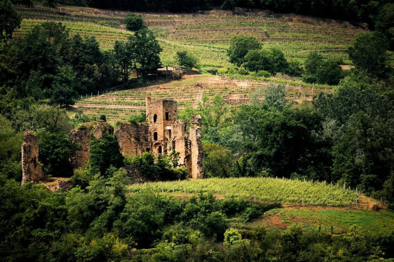 Villa Gelso Vesime Exteriér fotografie